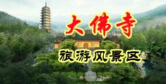 骚逼欠大鸡巴狠狠草中国浙江-新昌大佛寺旅游风景区